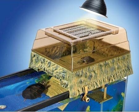 Aquarium Filters – Need to Learn Which Type to UseAquarium Filters – Need to Learn Which Type to Use